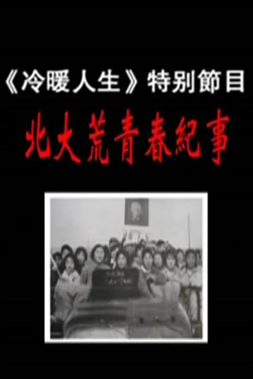 生活窍门大赛海报 - 整洁厨房与创意收纳