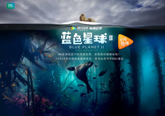 长城小队上中下剧照2